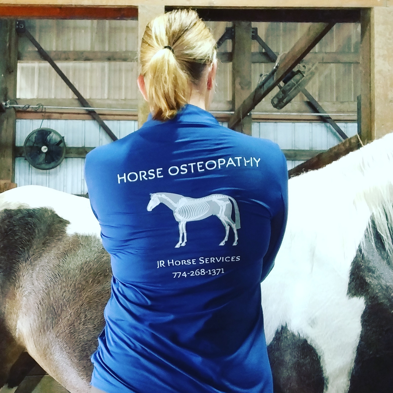 Equine Osteopathy JR Horse Services Horse Connection Ocala